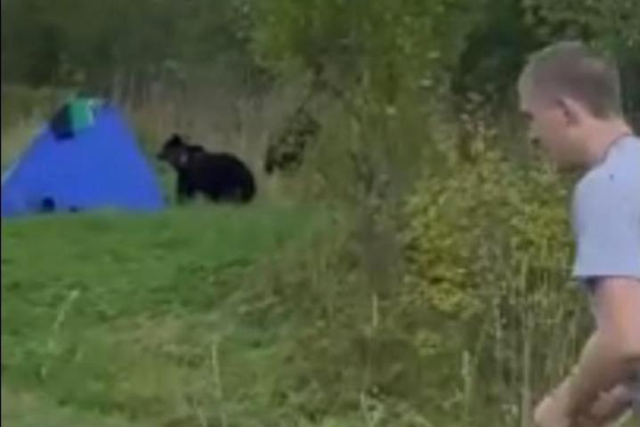 Фото: скриншот видео, группа ВК "Мой город Пермь".