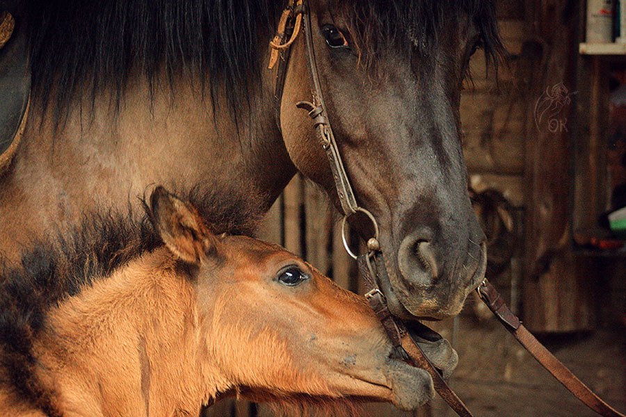 Фото: vk.com/club47410962