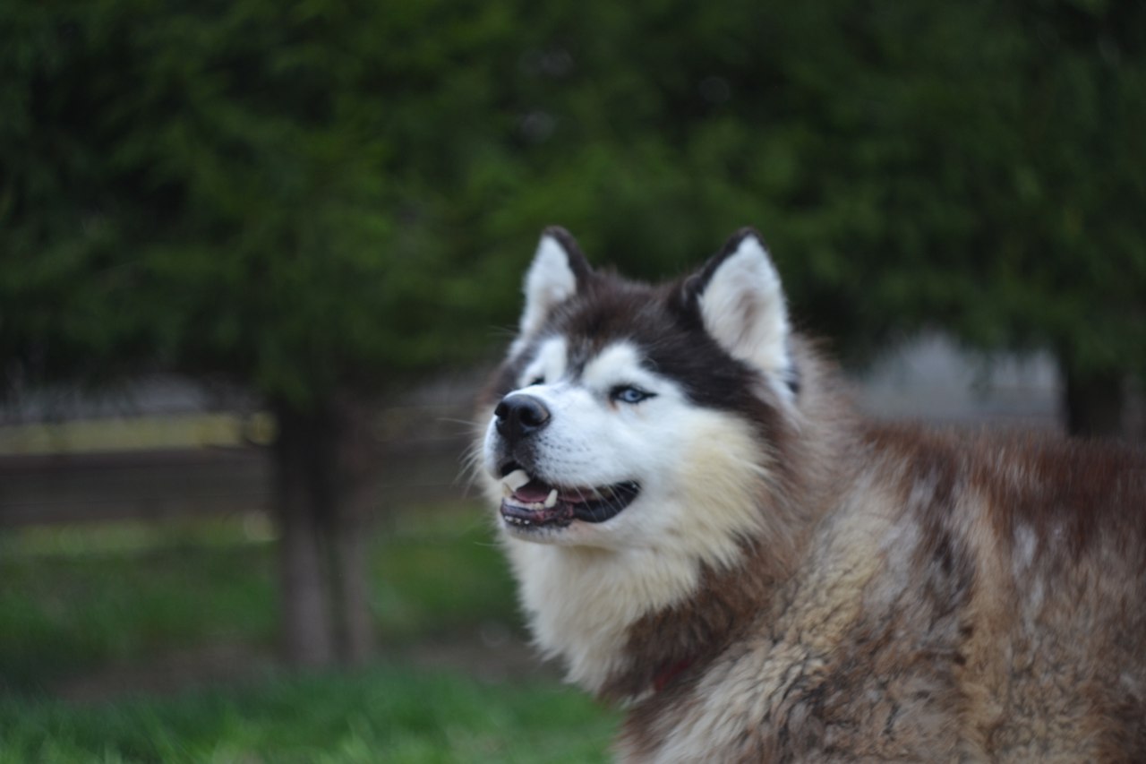 Фото: vk.com/iz.klana.simurana