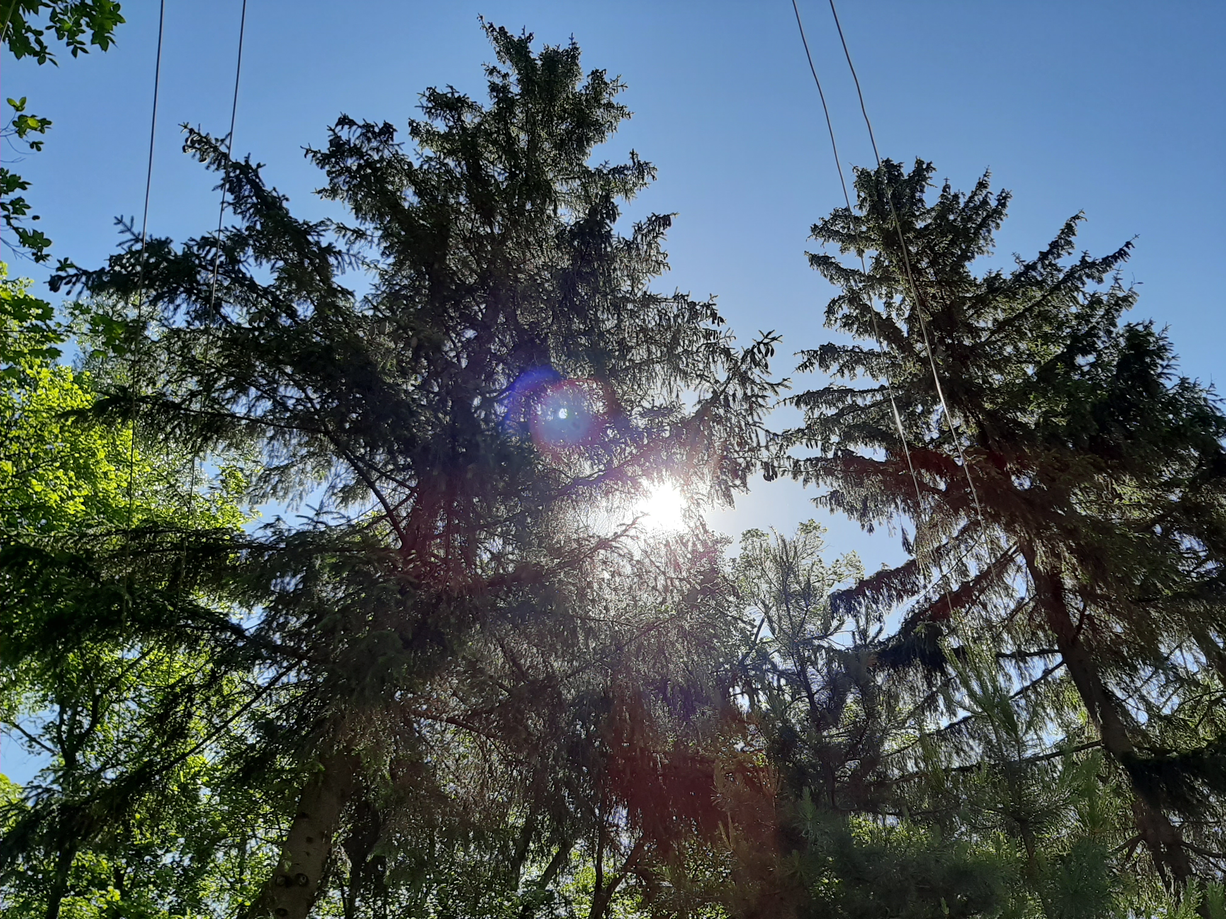 Остров Зелененький действительно зеленый. А еще солнечный.