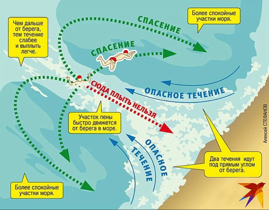 Инфографика: Алексей СТЕФАНОВ