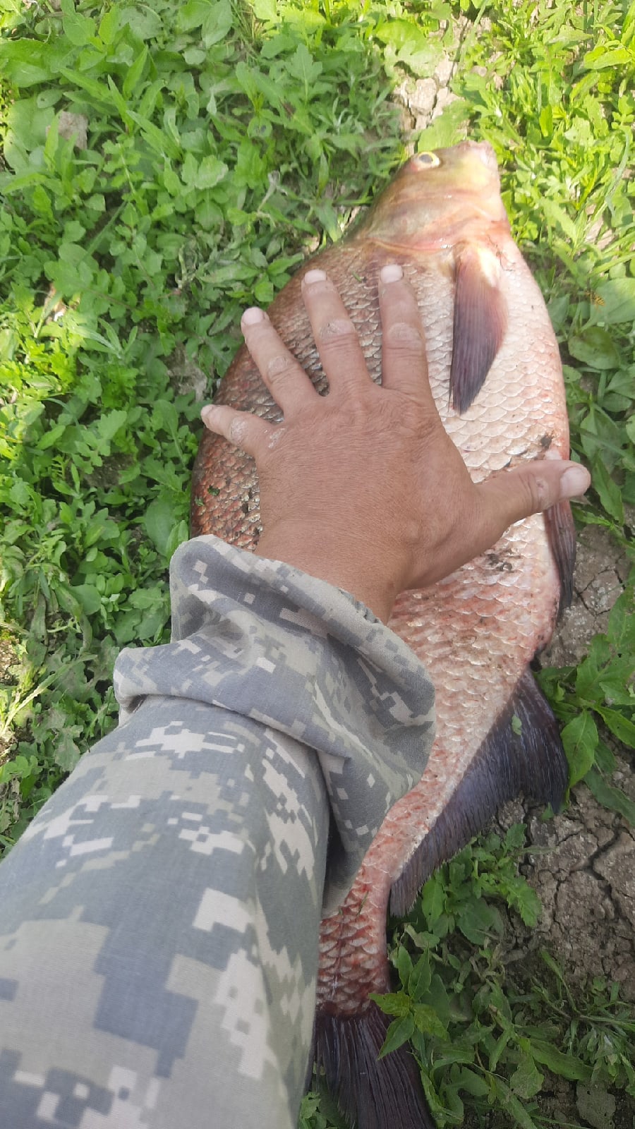 Вот так рыба в Туре!